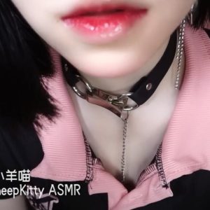 ASMR【水蜜小羊喵】油管会员专享资源 [31V/7.35G]